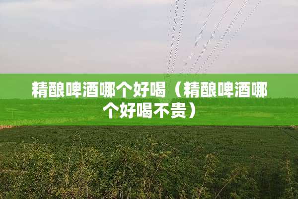 精酿啤酒哪个好喝（精酿啤酒哪个好喝不贵）