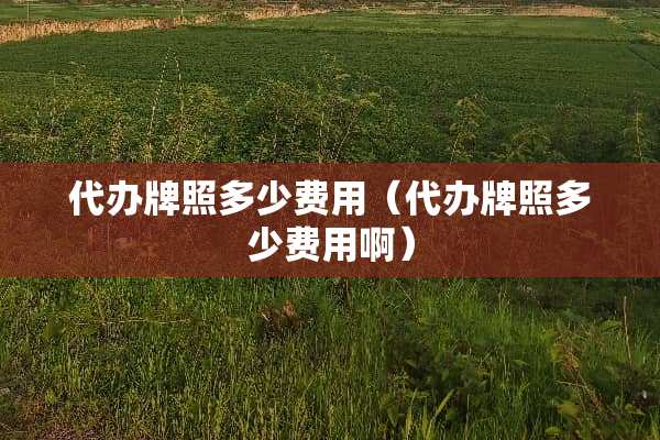 **牌照多少费用（**牌照多少费用啊）
