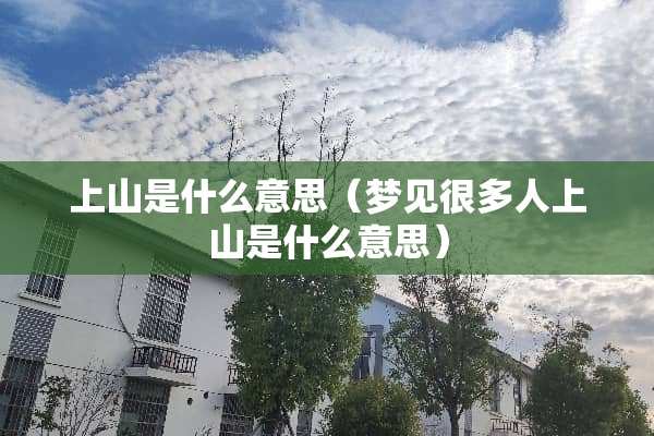 上山是什么意思（梦见很多人上山是什么意思）