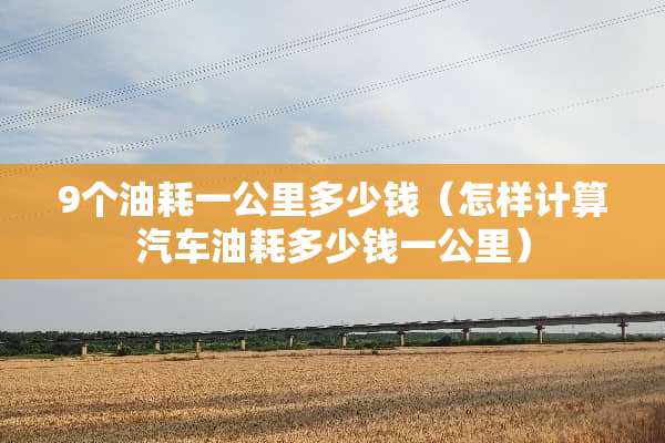 9个油耗一公里多少钱（怎样计算汽车油耗多少钱一公里）