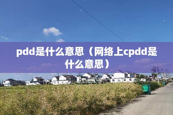 pdd是什么意思（网络上cpdd是什么意思）