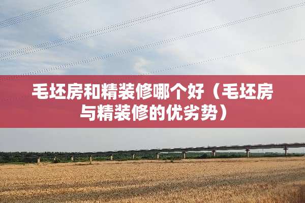 毛坯房和精装修哪个好（毛坯房与精装修的优劣势）