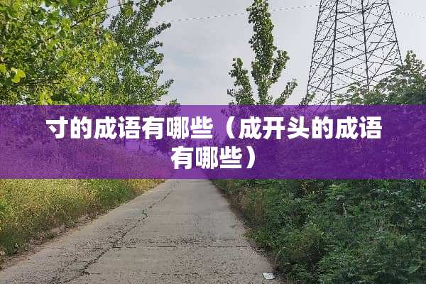 寸的成语有哪些（成开头的成语有哪些）