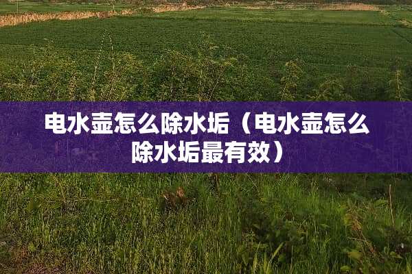 电水壶怎么除水垢（电水壶怎么除水垢最有效）