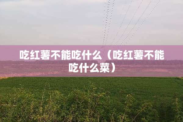 吃红薯不能吃什么（吃红薯不能吃什么菜）