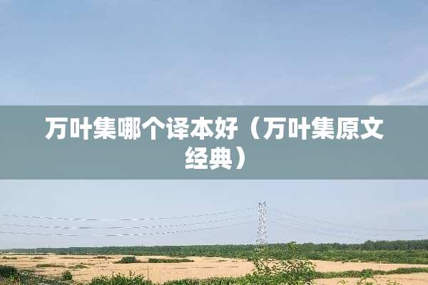 万叶集哪个译本好（万叶集原文经典）