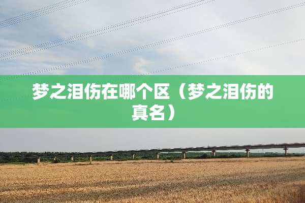 梦之泪伤在哪个区（梦之泪伤的真名）