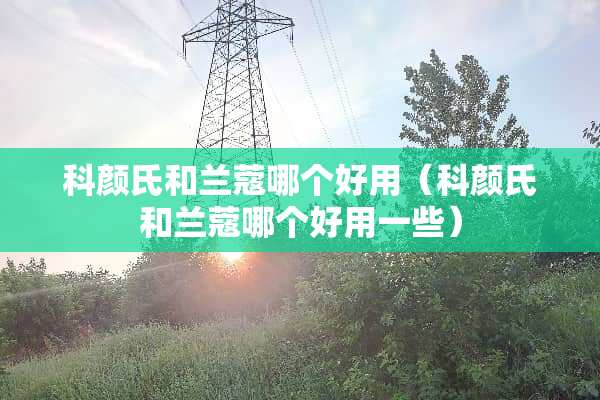 科颜氏和兰蔻哪个好用（科颜氏和兰蔻哪个好用一些）