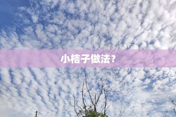 小桔子做法？