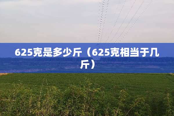 625克是多少斤（625克相当于几斤）