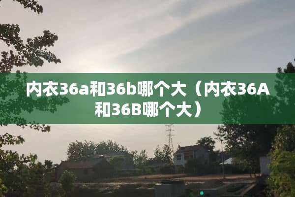 **36a和36b哪个大（**36A和36B哪个大）