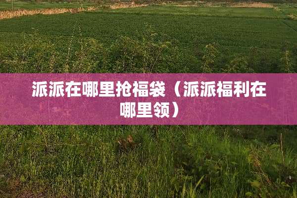 派派在哪里抢福袋（派派福利在哪里领）