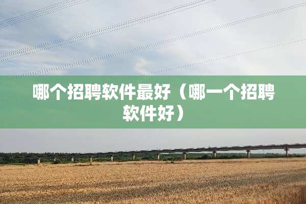哪个招聘软件最好（哪一个招聘软件好）