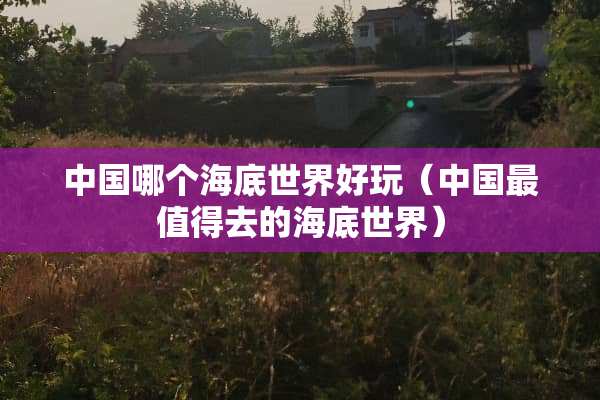 中国哪个海底世界好玩（中国最值得去的海底世界）