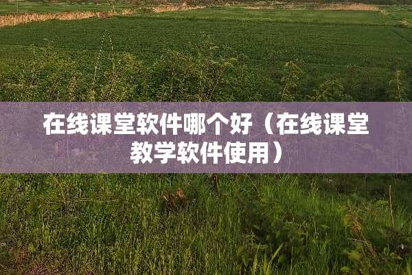 在线课堂软件哪个好（在线课堂教学软件使用）