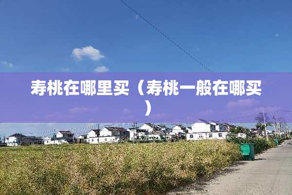 寿桃在哪里买（寿桃一般在哪买）