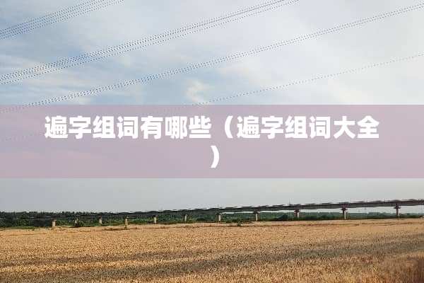 遍字组词有哪些（遍字组词大全）