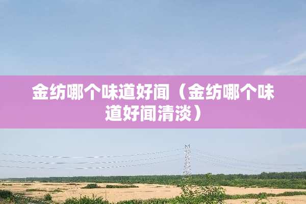 金纺哪个味道好闻（金纺哪个味道好闻清淡）