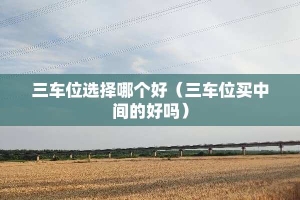 三车位选择哪个好（三车位买中间的好吗）