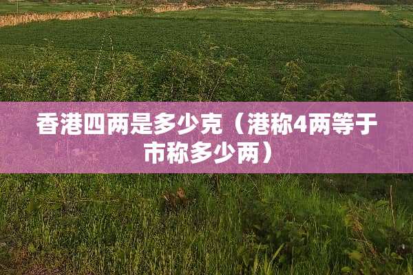 香港四两是多少克（港称4两等于市称多少两）