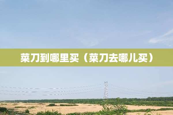 菜刀到哪里买（菜刀去哪儿买）