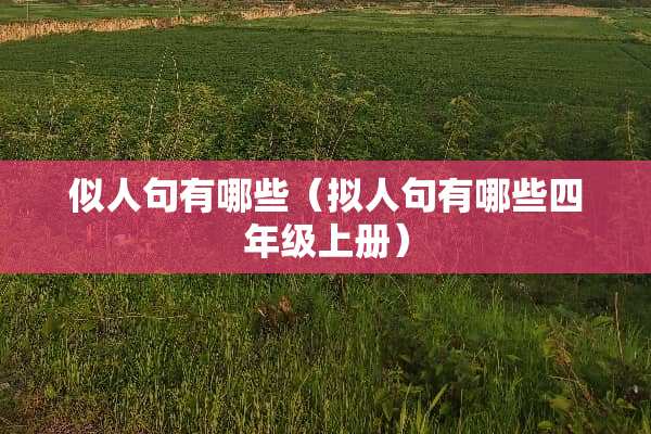 似人句有哪些（拟人句有哪些四年级上册）