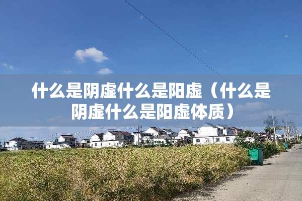 什么是*虚什么是阳虚（什么是*虚什么是阳虚体质）