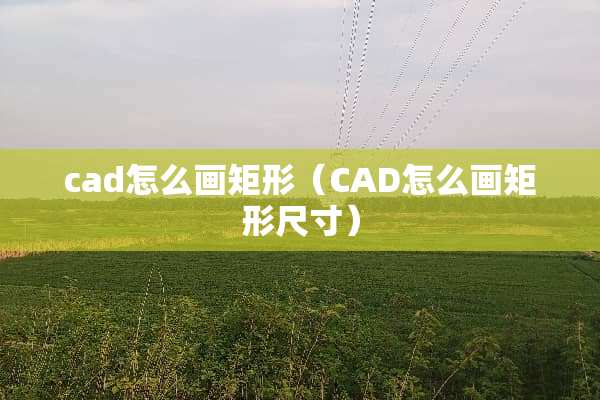 cad怎么画矩形（CAD怎么画矩形尺寸）