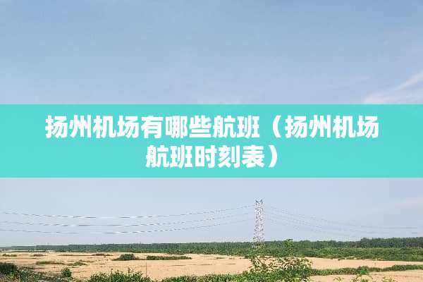 扬州机场有哪些航班（扬州机场航班时刻表）