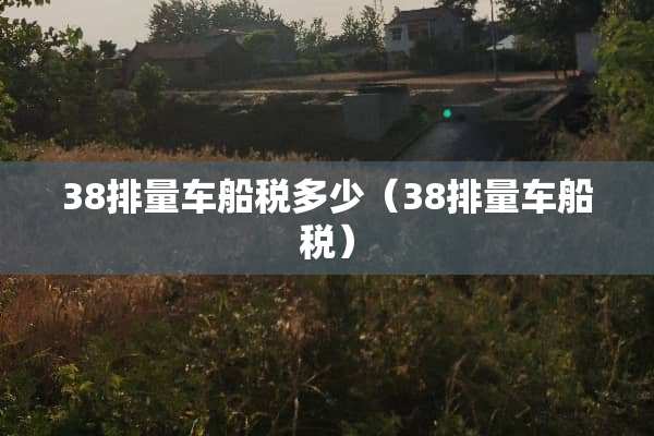 38排量车船税多少（38排量车船税）