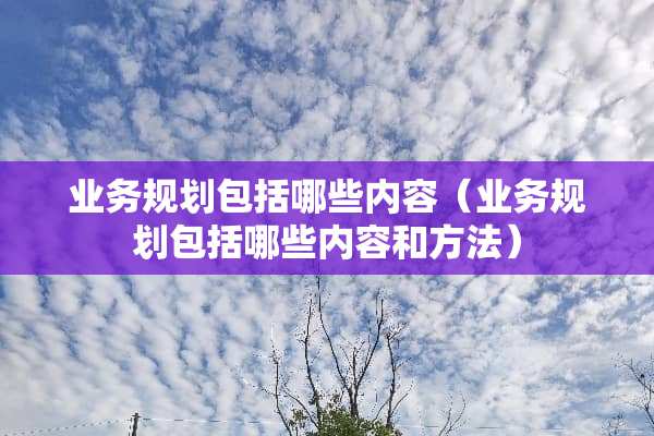 业务规划包括哪些内容（业务规划包括哪些内容和方法）