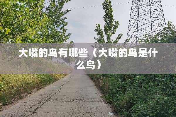 大嘴的鸟有哪些（大嘴的鸟是什么鸟）
