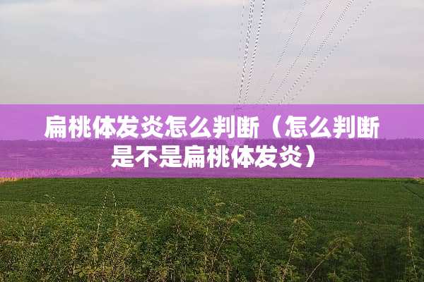 扁桃体发炎怎么判断（怎么判断是不是扁桃体发炎）