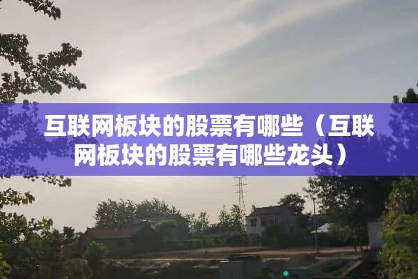 互联网板块的股票有哪些（互联网板块的股票有哪些龙头）