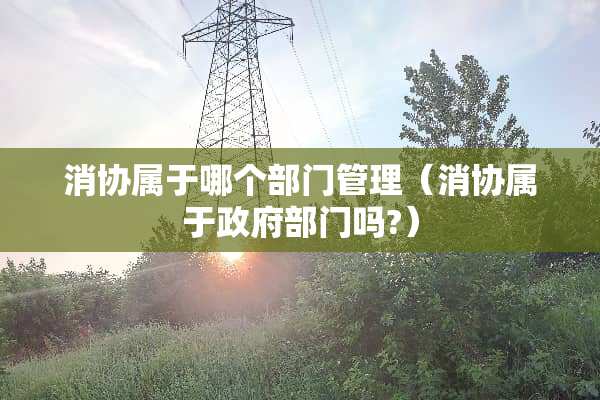 消协属于哪个部门管理（消协属于**部门吗?）