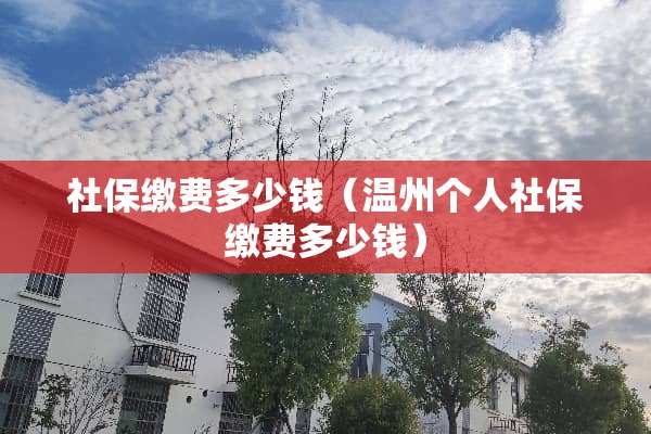 社保缴费多少钱（温州个人社保缴费多少钱）