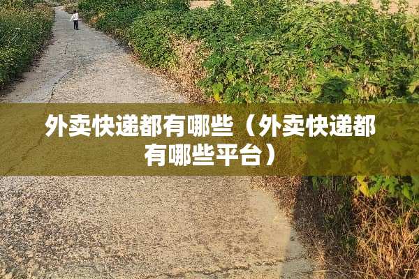 外卖快递都有哪些（外卖快递都有哪些平台）