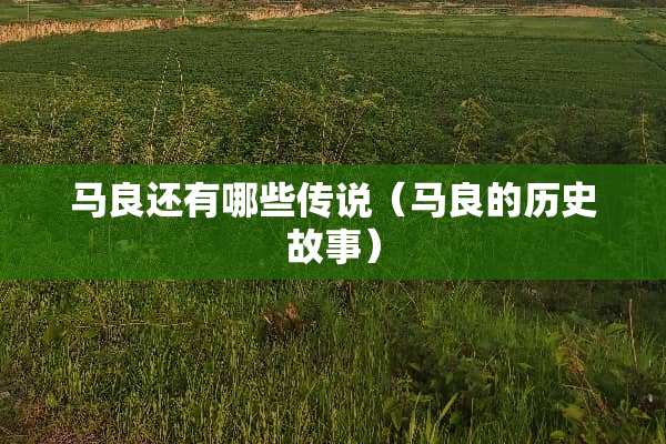 马良还有哪些传说（马良的历史故事）