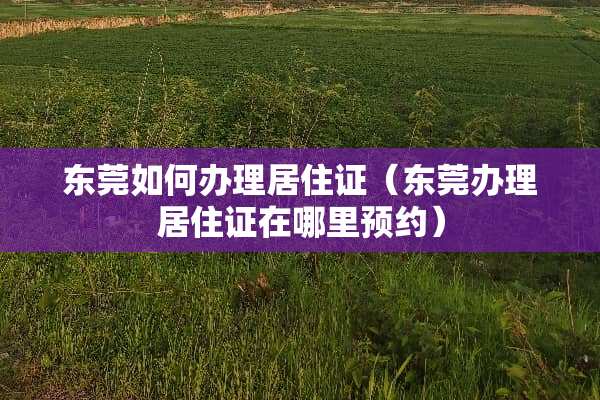 东莞如何办理居住证（东莞办理居住证在哪里预约）