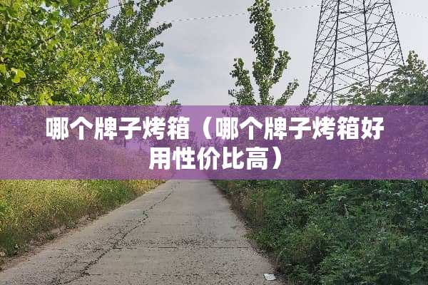 哪个牌子烤箱（哪个牌子烤箱好用性价比高）