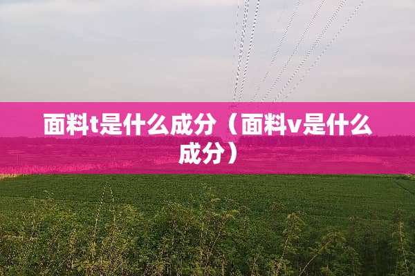 面料t是什么成分（面料v是什么成分）