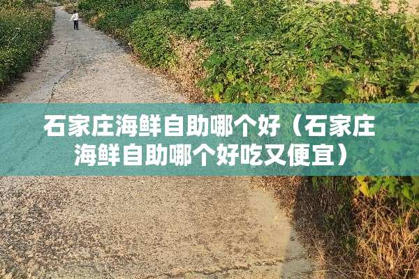 石家庄海鲜自助哪个好（石家庄海鲜自助哪个好吃又便宜）
