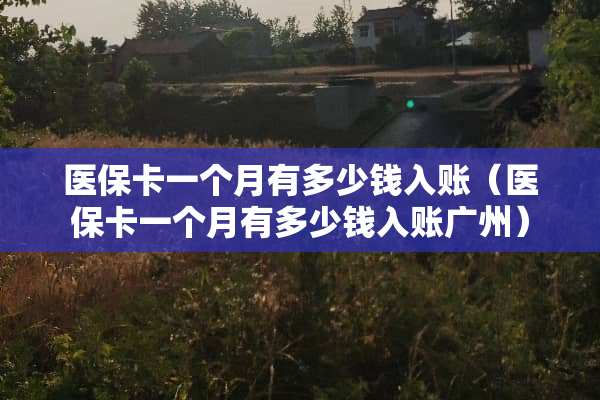 医保卡一个月有多少钱入账（医保卡一个月有多少钱入账广州）