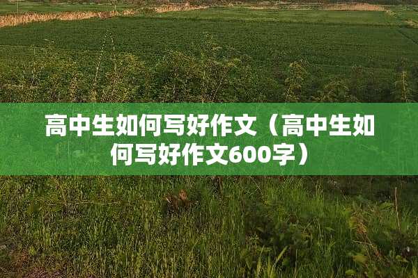 高中生如何写好作文（高中生如何写好作文600字）