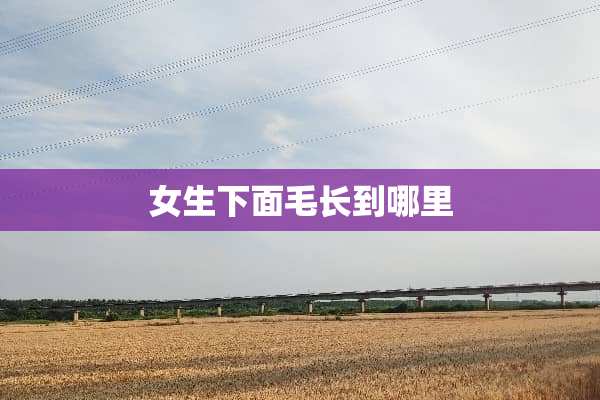 女生下面毛长到哪里