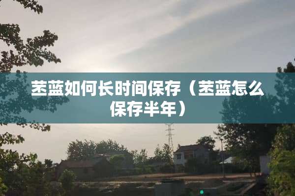 苤蓝如何长时间保存（苤蓝怎么保存半年）