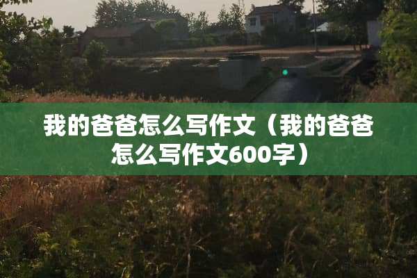 我的爸爸怎么写作文（我的爸爸怎么写作文600字）
