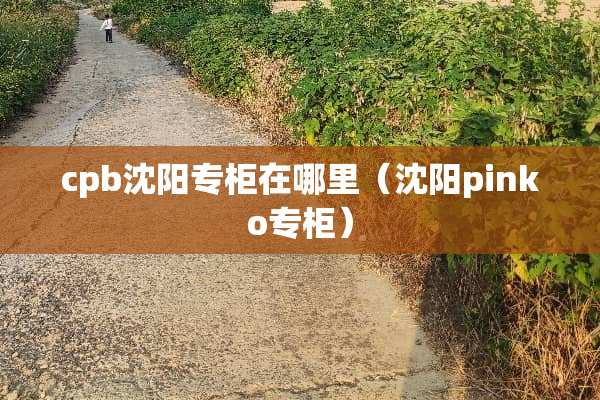 cpb沈阳专柜在哪里（沈阳pinko专柜）