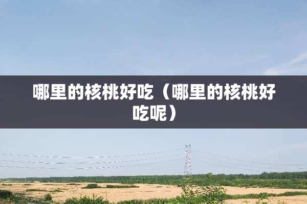 哪里的核桃好吃（哪里的核桃好吃呢）