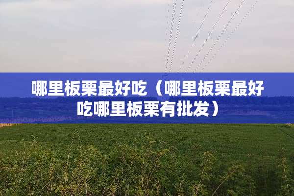 哪里板栗最好吃（哪里板栗最好吃哪里板栗有批发）